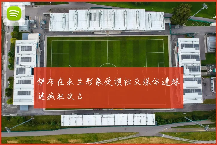 伊布在米兰形象受损社交媒体遭球迷疯狂攻击